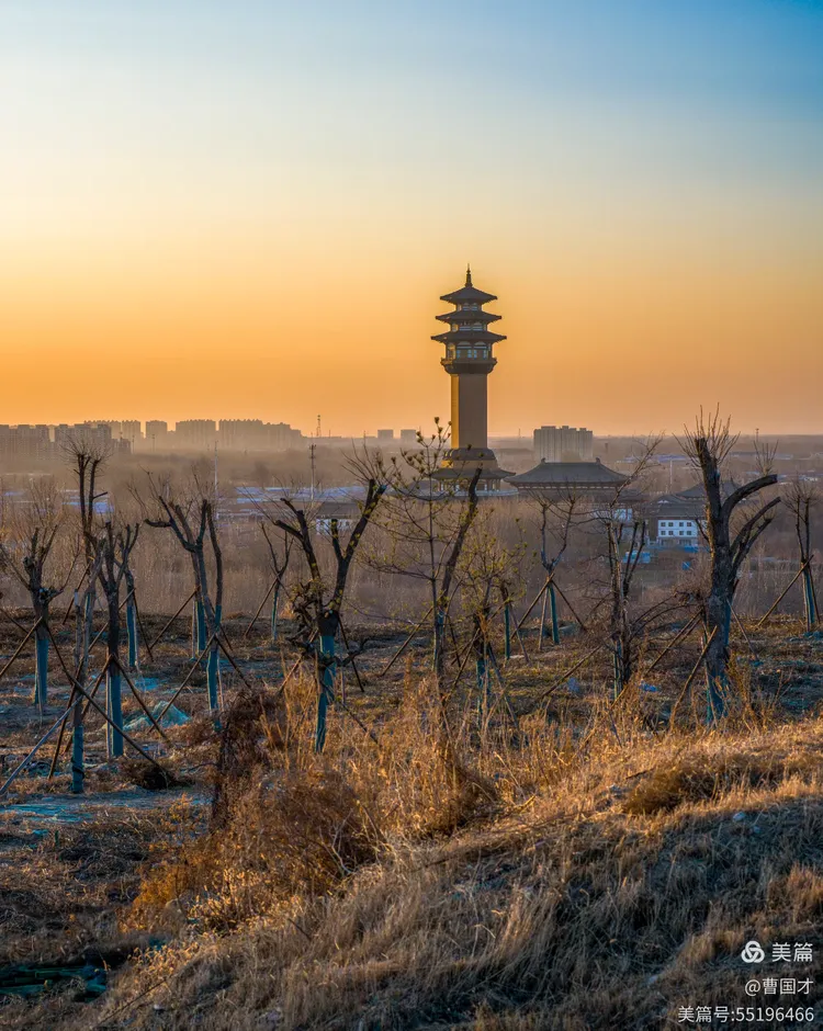 廊坊自然公园之冬